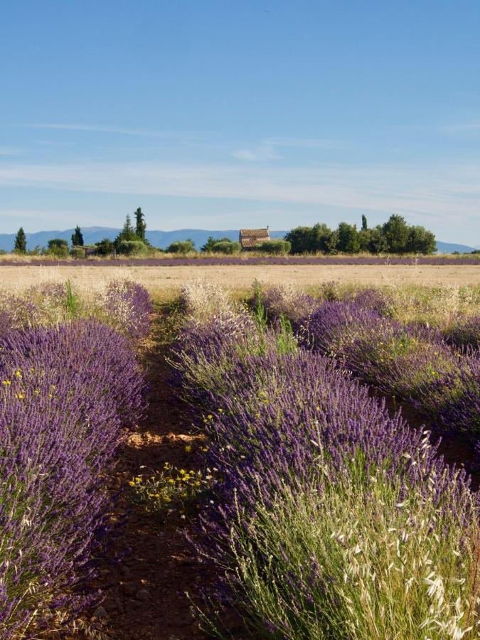 Verdon Secret - L'Escapade Parfaite Gréoux-les-Bains المظهر الخارجي الصورة